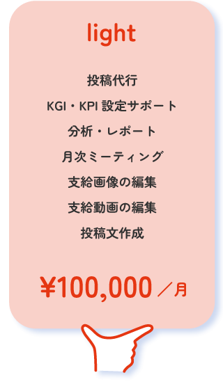 ライトプラン：投稿代行、KGI・KPI設定サポート、分析・レポート、月次ミーティング、支給画像の編集、支給動画の編集、投稿文作成